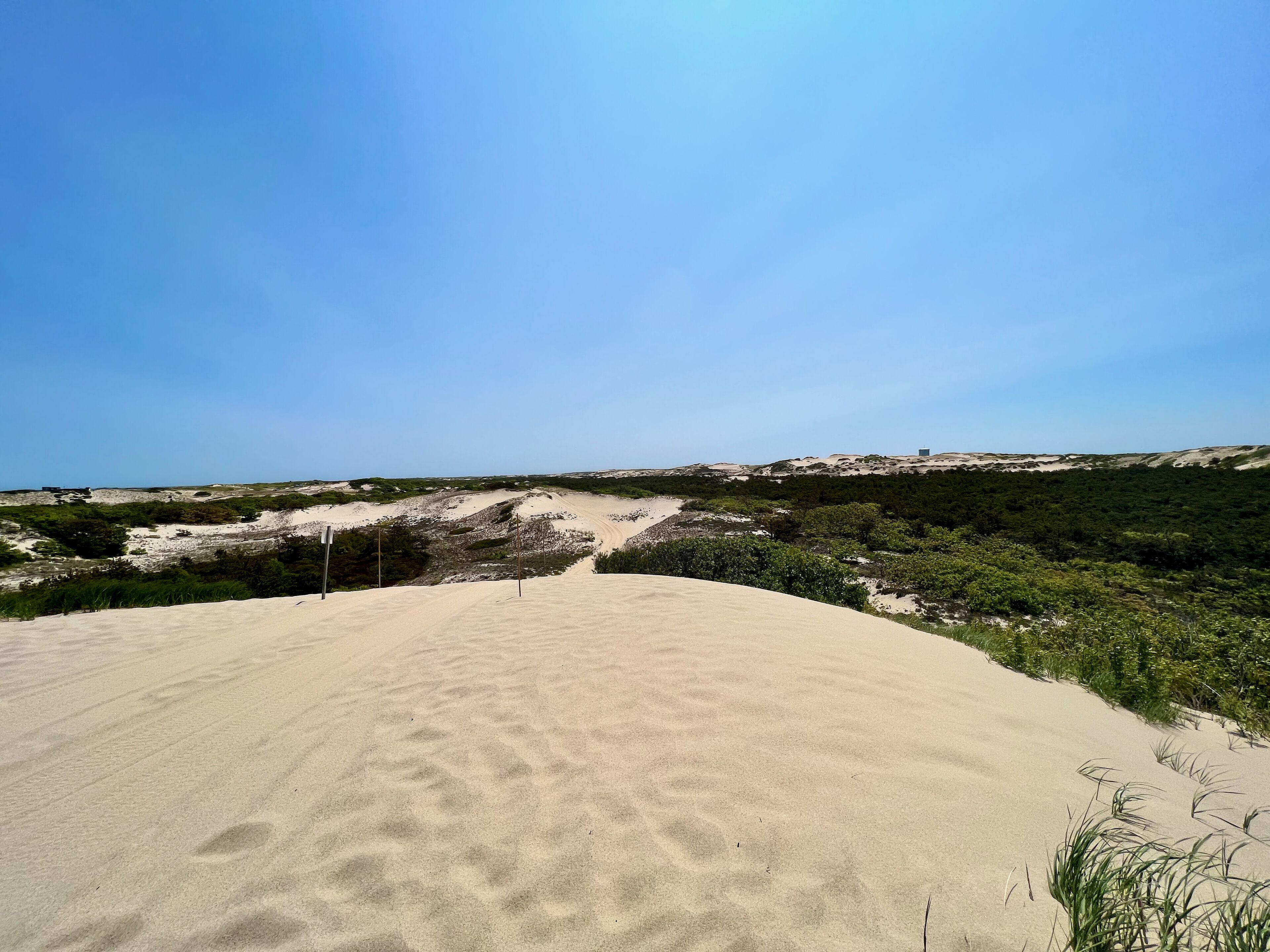 A sandy beach with dunes and sparse vegetation.