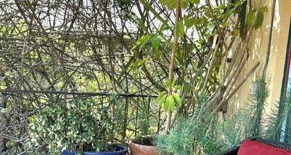 Italian Villa 3br/2BA Large house+ walk to beach