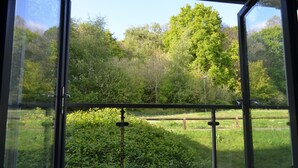 Vista a través de una ventana con barandilla de metal, mostrando un paisaje verde con árboles y una zona cubierta de césped.