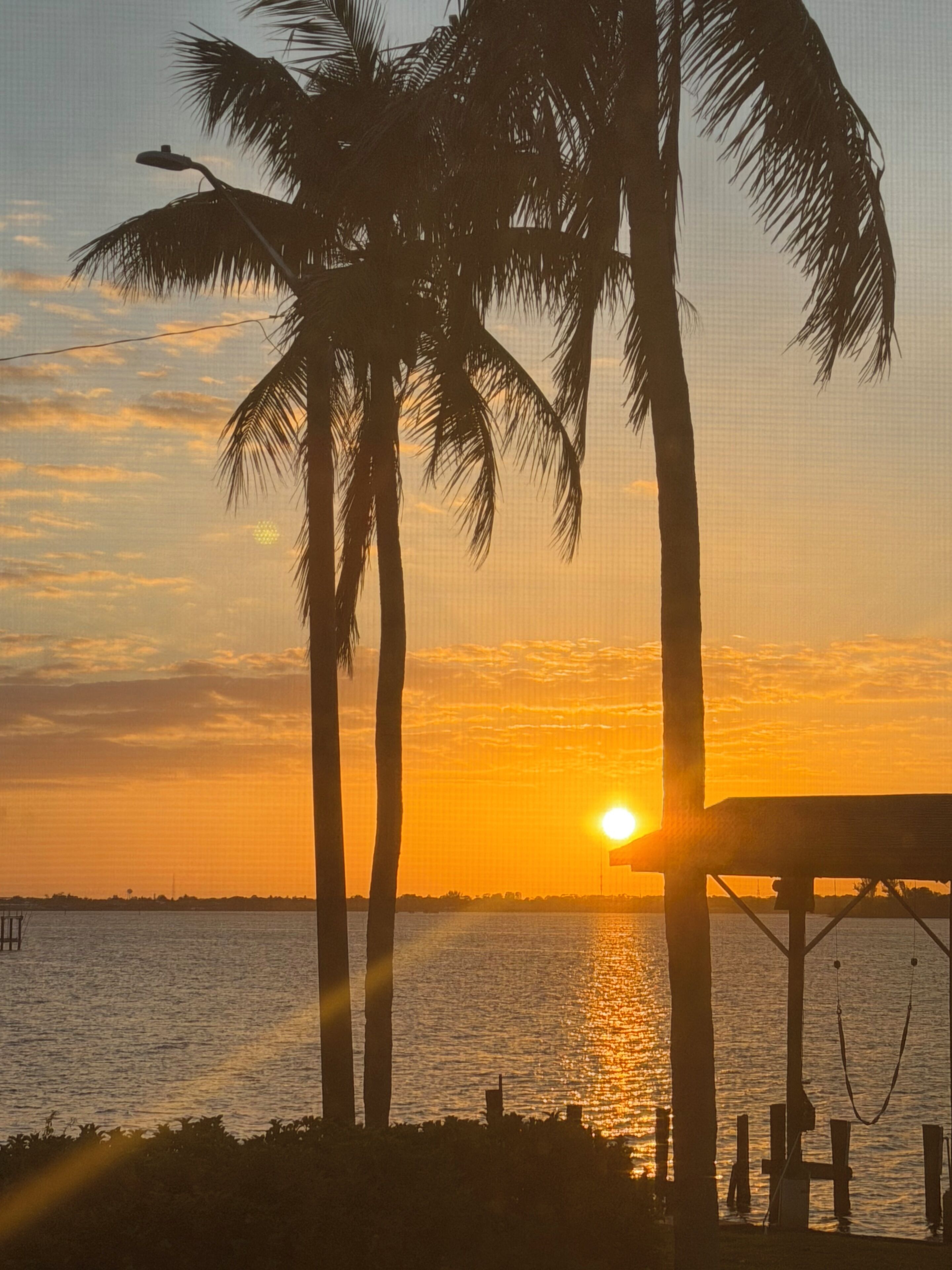 Un coucher de soleil sur l’eau, avec des palmiers et un quai.