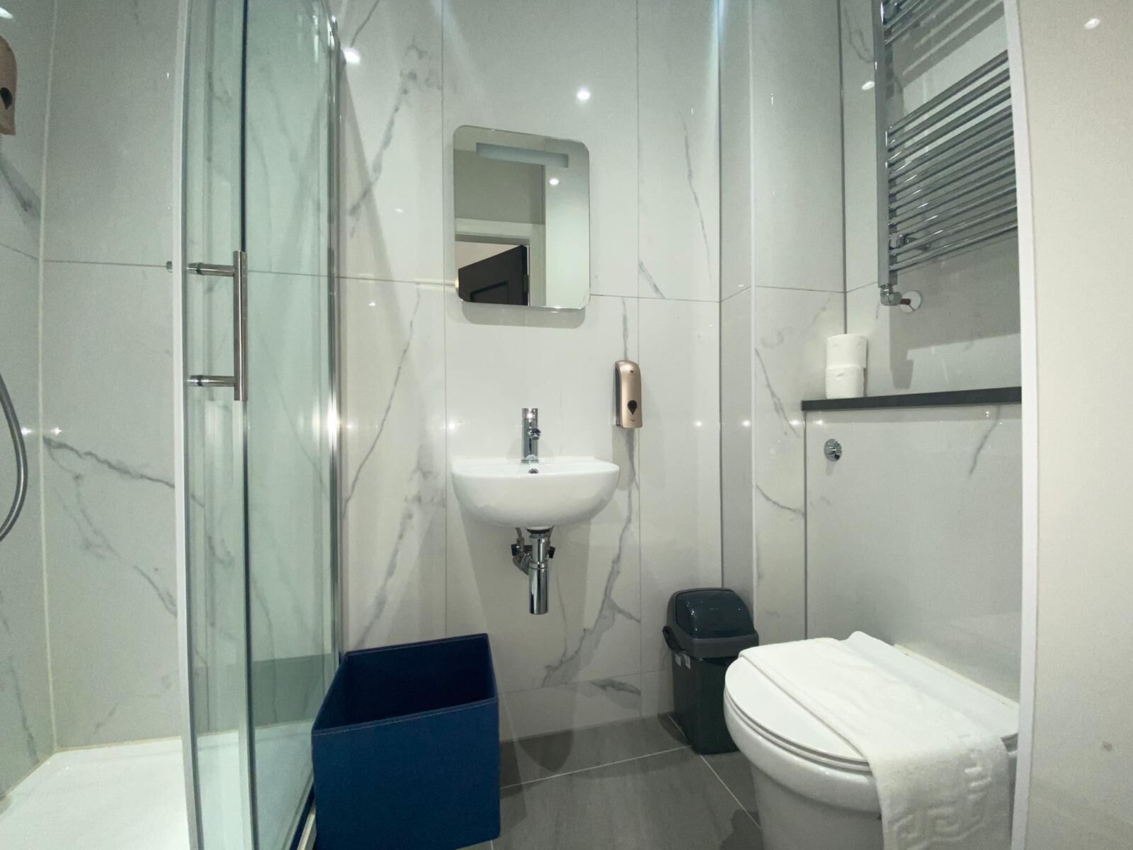 A modern bathroom with a glass shower enclosure, a white sink, and a toilet.