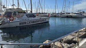 Ein Yachthafen mit mehreren dort vertäuten Segelbooten.