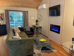 Smart TV, fireplace, books
