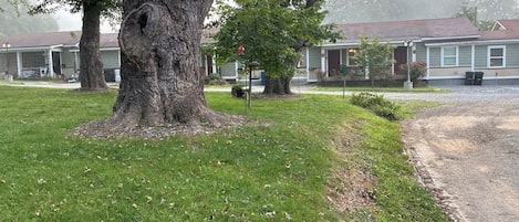 Esterni