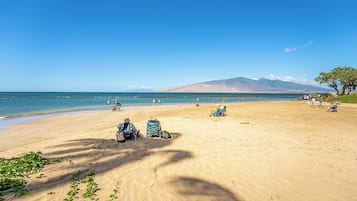 Condo (0 Bedroom) | Servicio de la propiedad