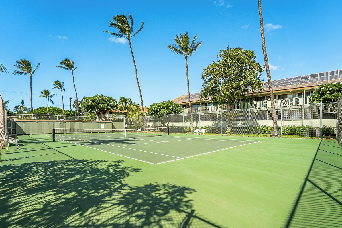 A tennis court with a net, surrounded by palm trees and a fence.