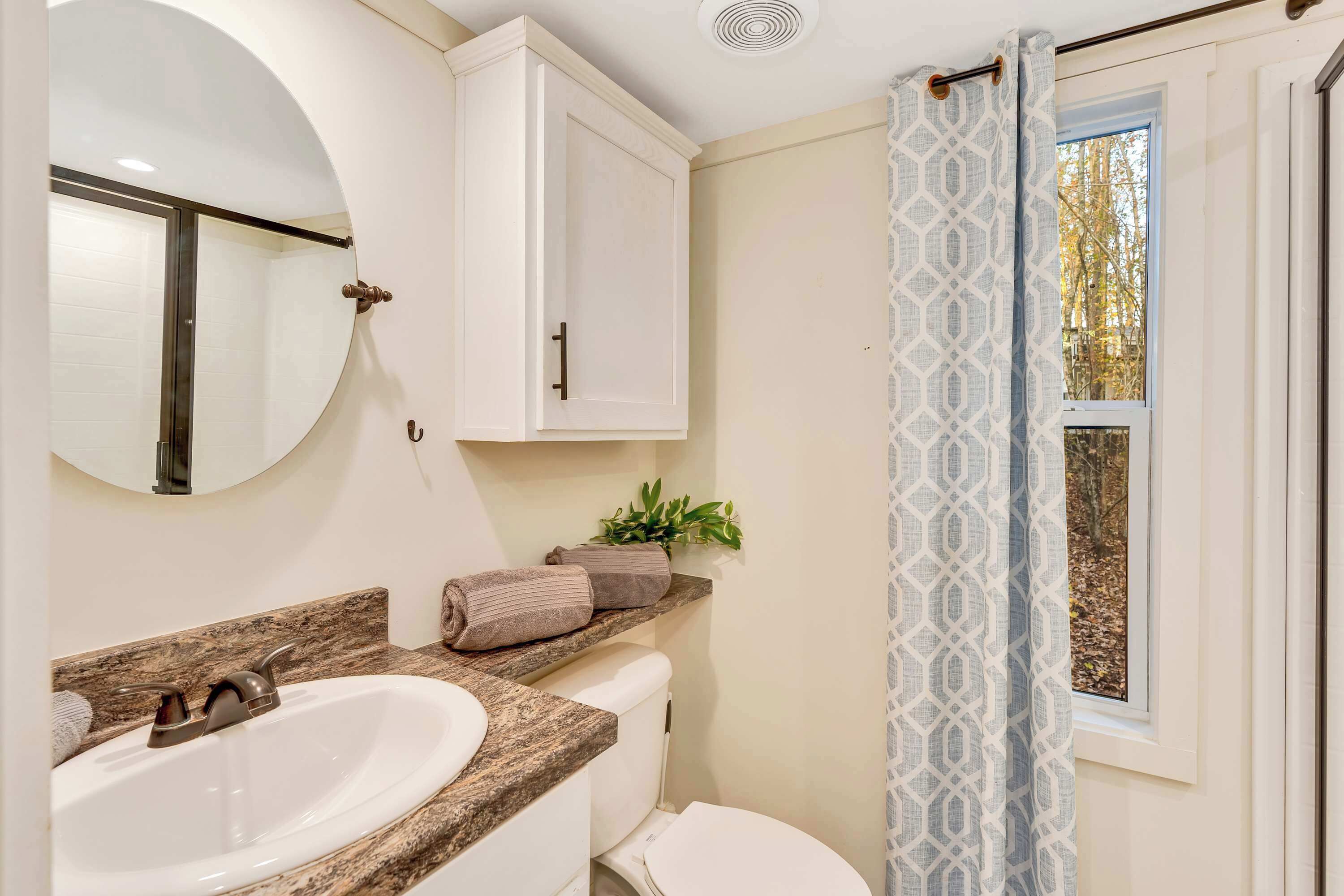 A bathroom with a sink, toilet, and a mirror. There is a window with a curtain and a plant on the counter.