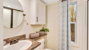 A bathroom with a sink, toilet, and a mirror. There is a window with a curtain and a plant on the counter.