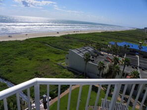 Property grounds - Aquarius 705 Walk out the door and you're in paradise. (South Padre Island)