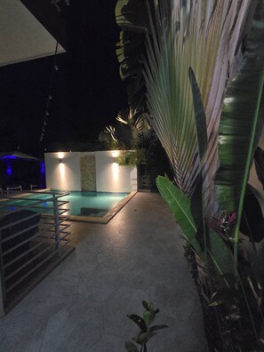 A swimming pool with a tiled deck, surrounded by large green leaves and a stone wall.