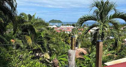 T2 with small pool and beautiful sea view