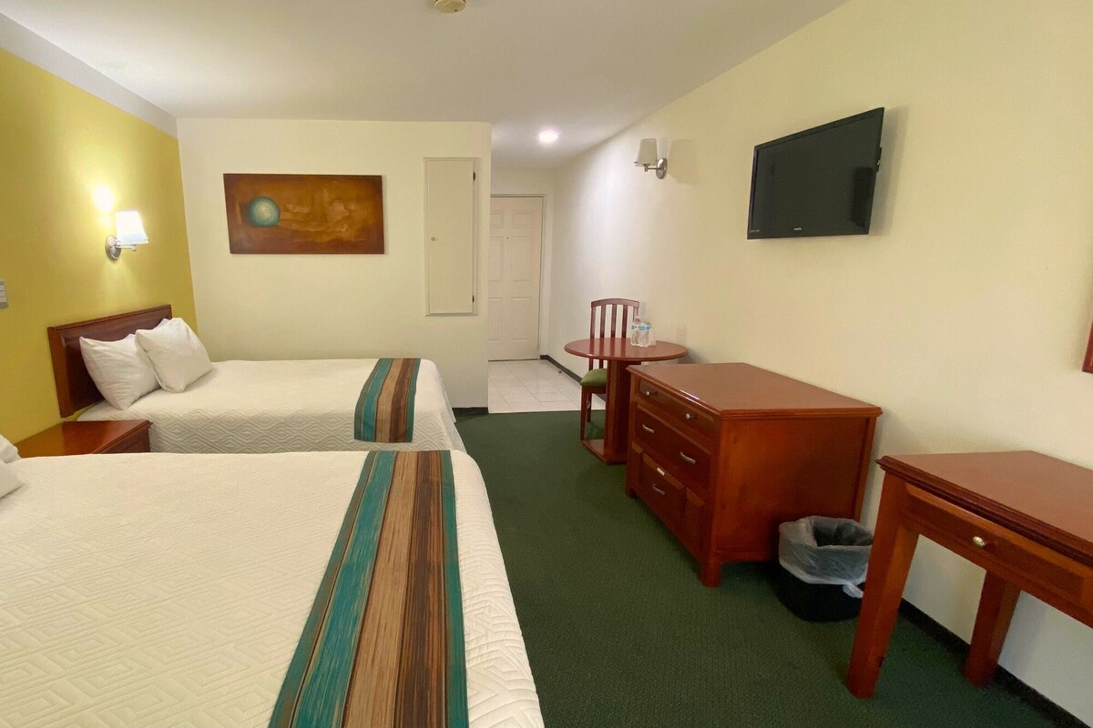 Habitación de hotel con dos camas, un escritorio, una silla, un televisor y un cuadro en la pared.