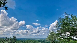 A landscape with trees and a clear sky. - Summer Escape with Swim Hole and Golf Cart Rental (Spring Branch)