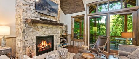 TV, fireplace, books