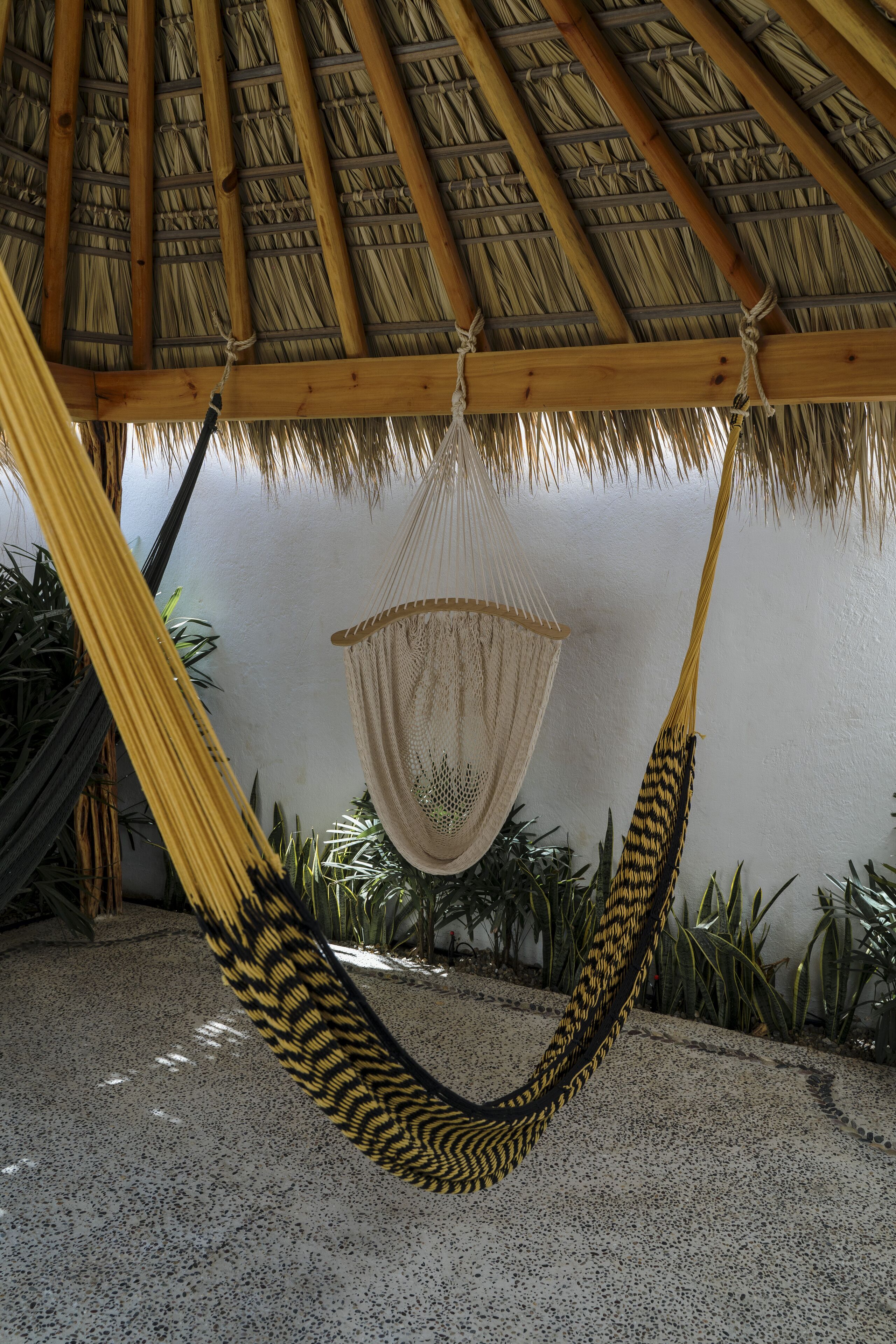 Photo - Hotel Camino Del Sol