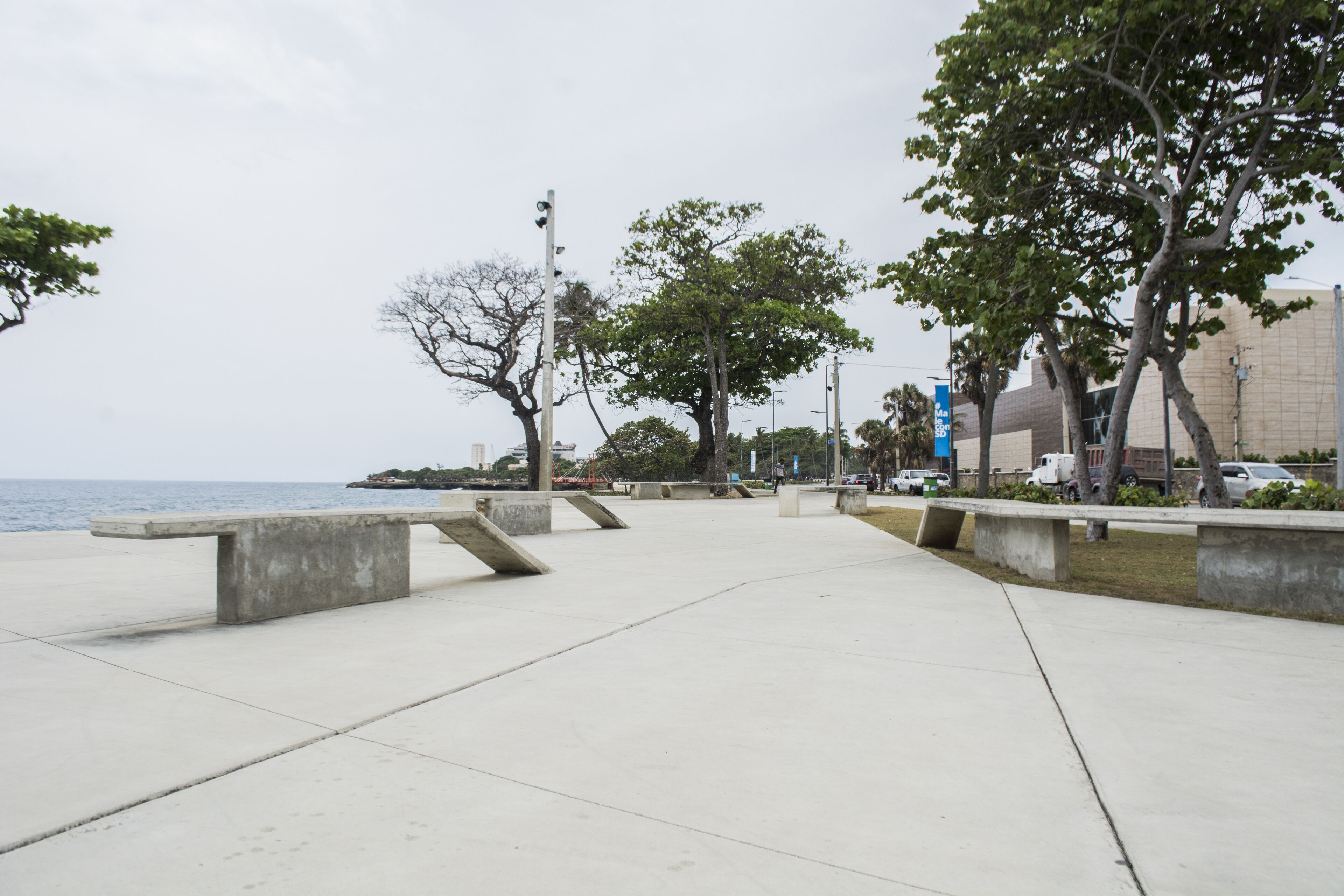 A concrete pathway with benches, trees, and a view of the sea.