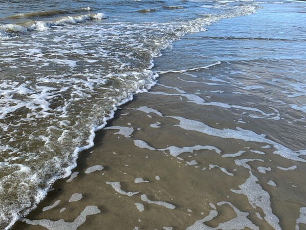 En la playa y camastros 