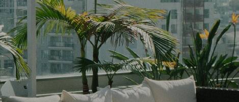 Áreas de la propiedad