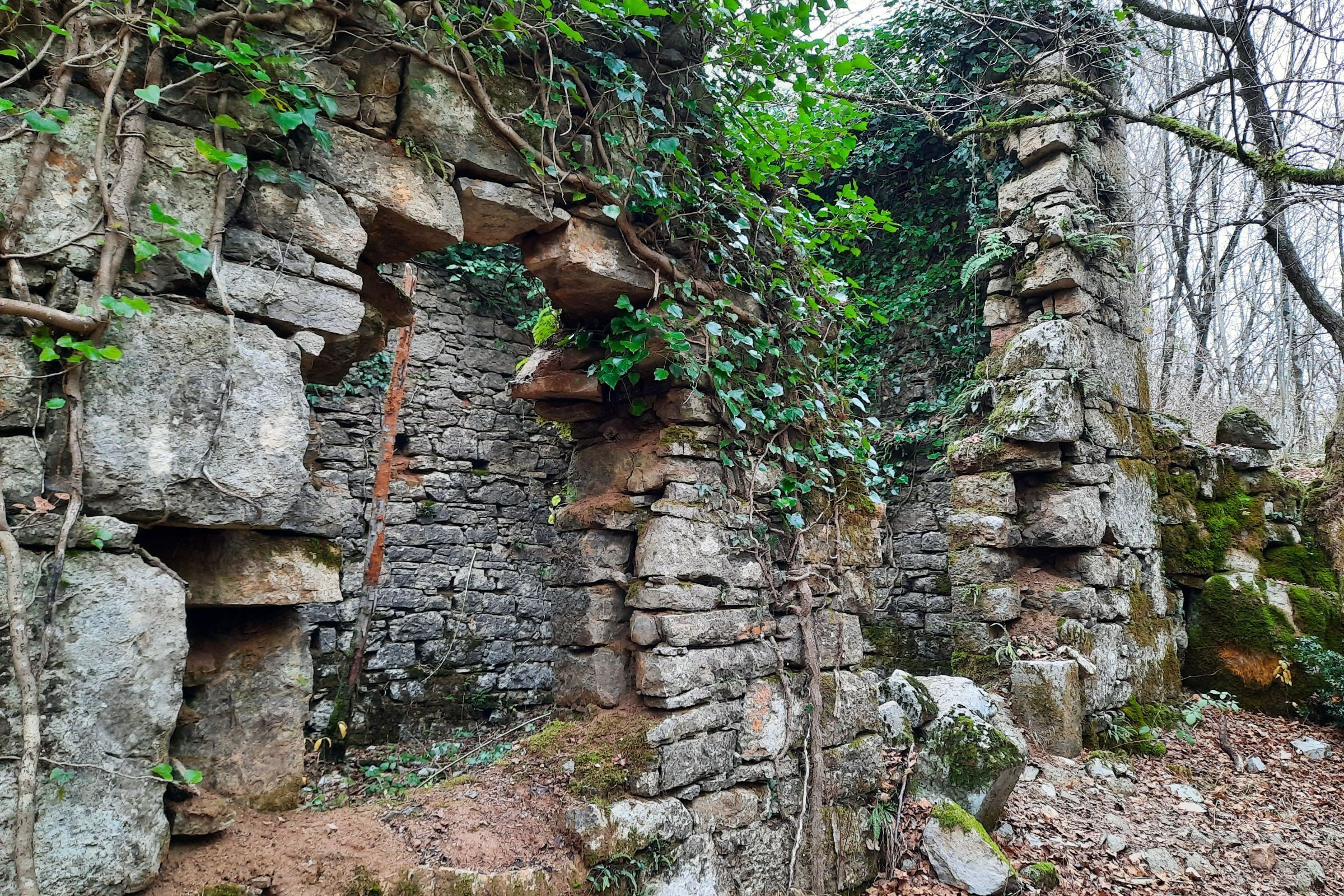 Une structure en pierre, envahie par la végétation, qui laisse supposer qu’il s’agit de ruines historiques.