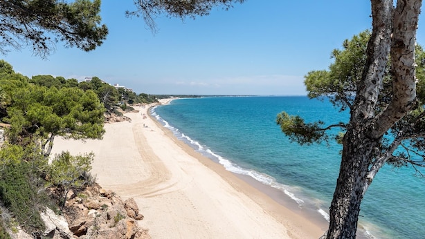 A beach with clear blue water, sandy shore, and surrounding pine trees. - Perfect for a vacation of disconnection (Miami Platja)