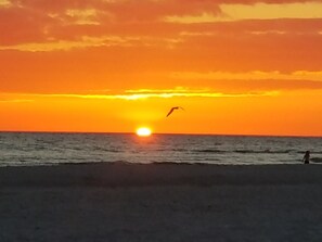 Playa en los alrededores, camastros y toallas de playa 