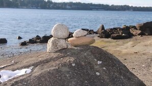 Una costa rocciosa con un mare calmo e una fila di alberi in lontananza.