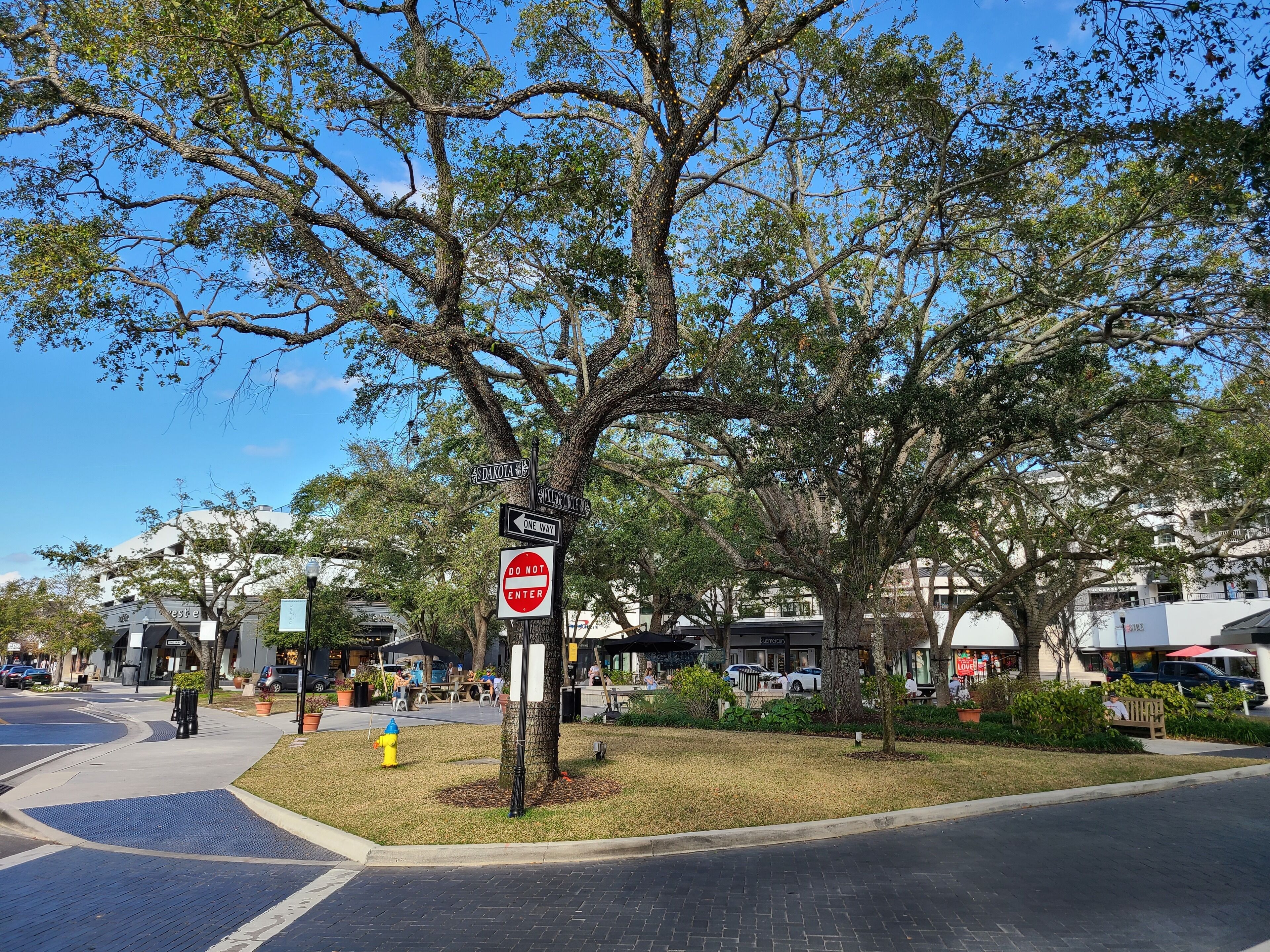 A street view with a large tree, street signs, and a fire hydrant.