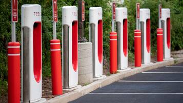 A row of bollards with red and white colors, likely for traffic control, along a paved path.