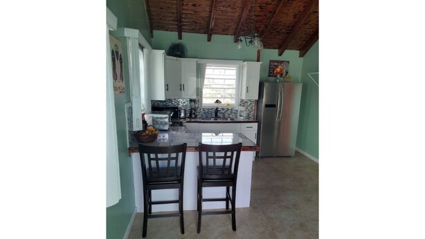 A kitchen with two wooden chairs, white cabinets, a stainless steel refrigerator, and a window with blinds. - Maryville Studio (St.Thomas)