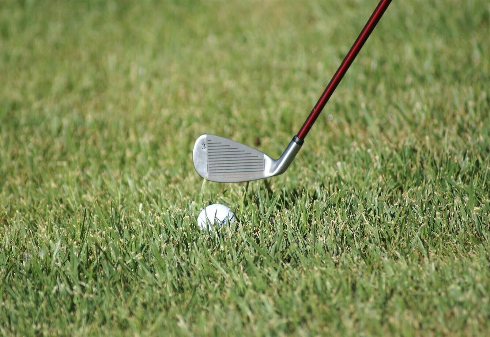 A golf club positioned above a golf ball on a grassy field.