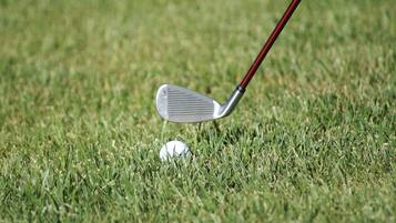 A golf club positioned above a golf ball on a grassy field.