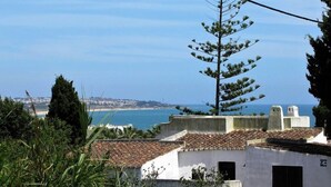 Vistes a la costa amb edificis, un pi i el mar.