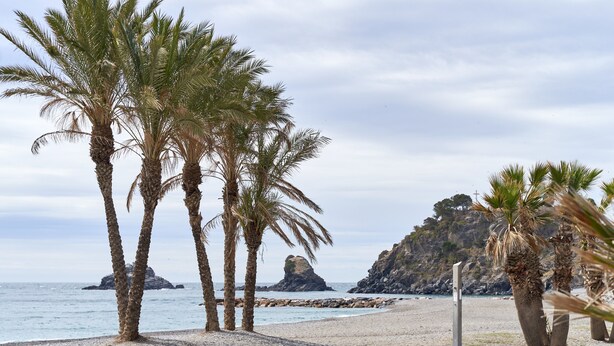 Une plage bordée de palmiers, un promontoire rocheux et une mer calme.