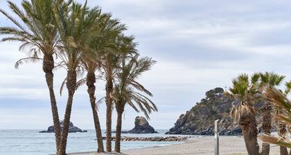 Apartment 250 m from the beach with Wi-Fi; pets allowed