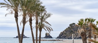 "250 M from the Beach Apartment" with Wi-Fi; Pets Allowed