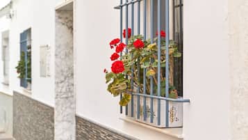 Detalle del exterior