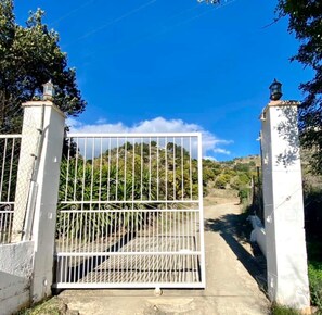 A gated entrance with a metal gate and white pillars, leading to a pathway.
