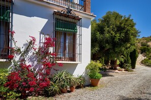 Detalle exterior