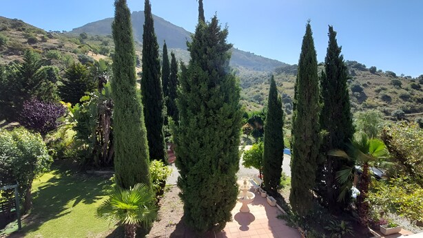 A garden with tall cypress trees, a paved path, and a mountainous backdrop. - Country House 'Santa Matilde Málaga' with Sea Views, Wi-Fi and Air Conditioning (Málaga)