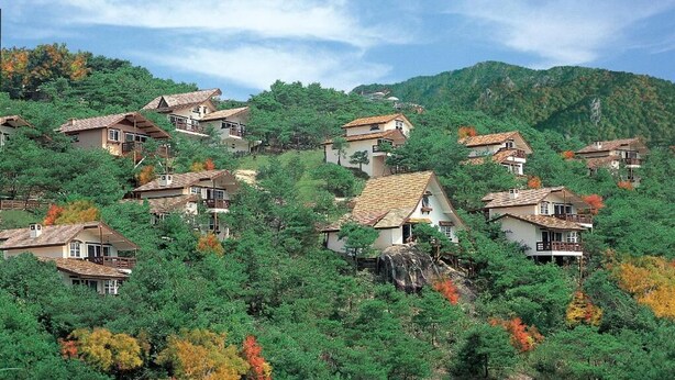 A cluster of hillside houses with multiple stories, surrounded by dense forest and autumn foliage.