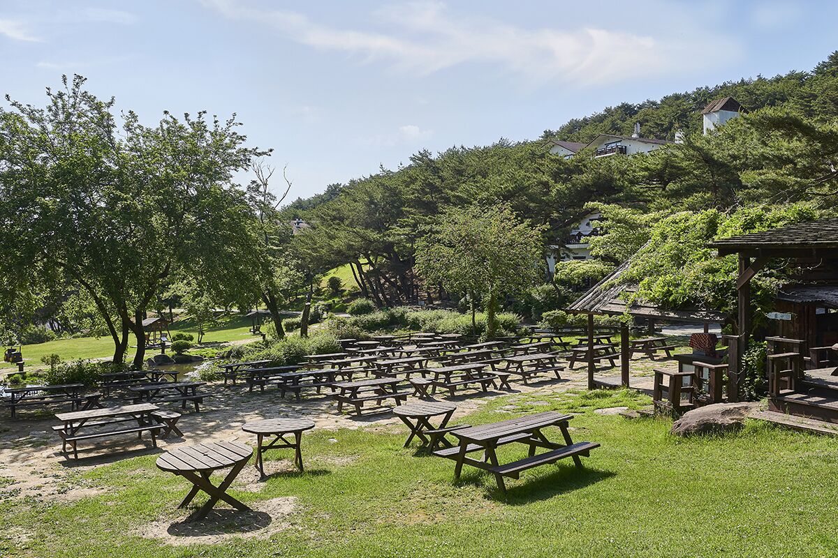 A picnic area with multiple wooden tables and benches, surrounded by lush greenery and trees.