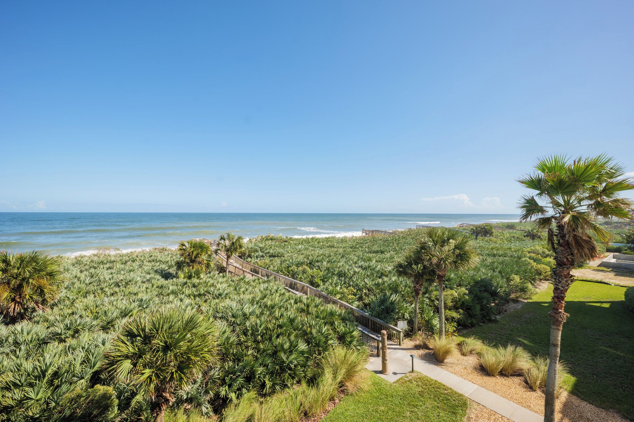 A coastal landscape with a pathway leading to a beach, surrounded by dense vegetation and palm trees.