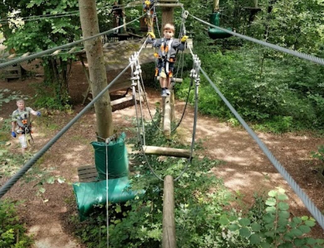 A rope bridge in a wooded area with safety harnesses.