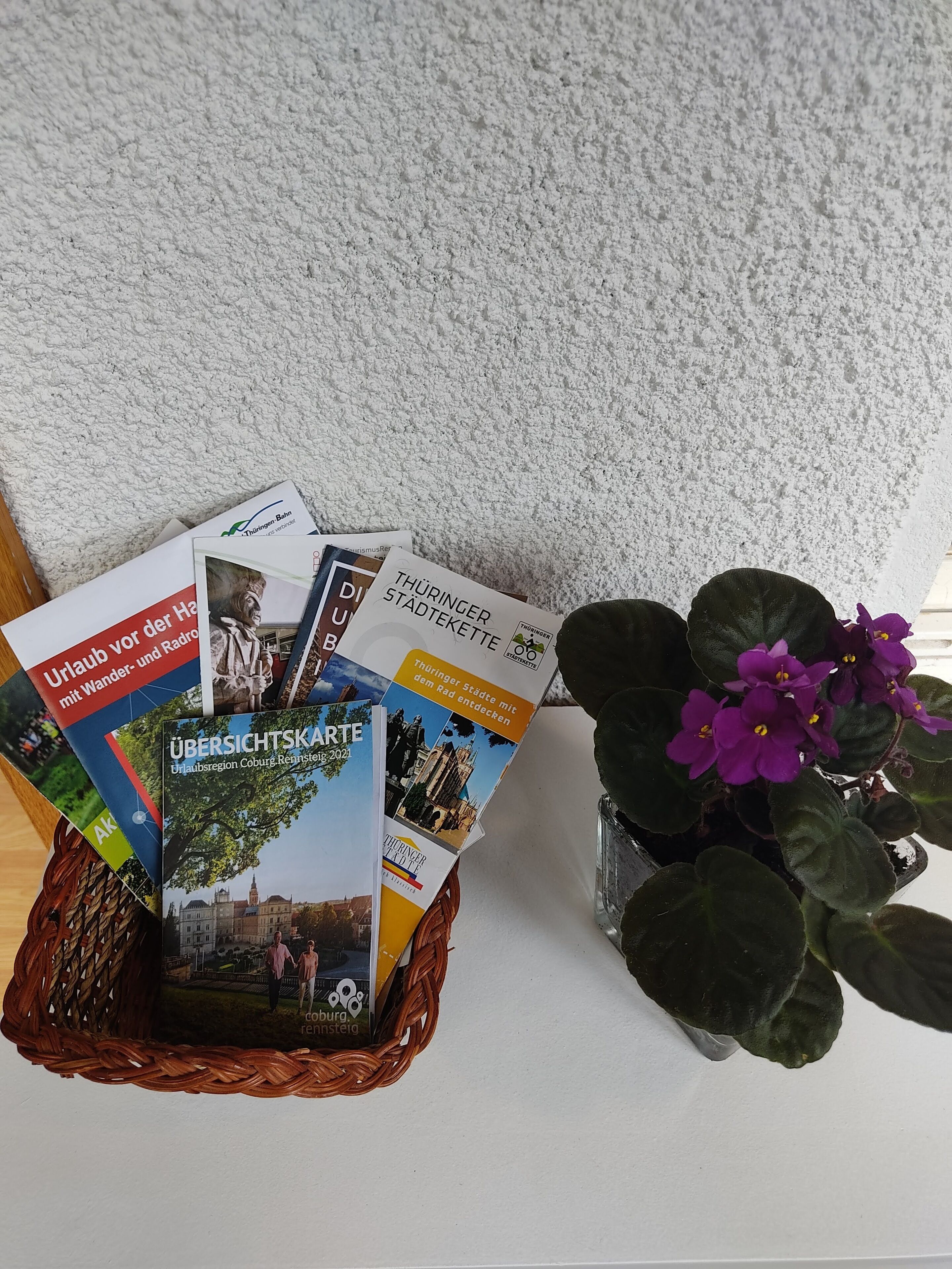 Un panier en osier contenant des brochures de voyage et une plante en pot ornée de fleurs violettes.