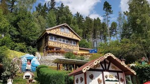 Una casa de madera tradicional con techo inclinado, rodeada de abundante vegetación y árboles.
