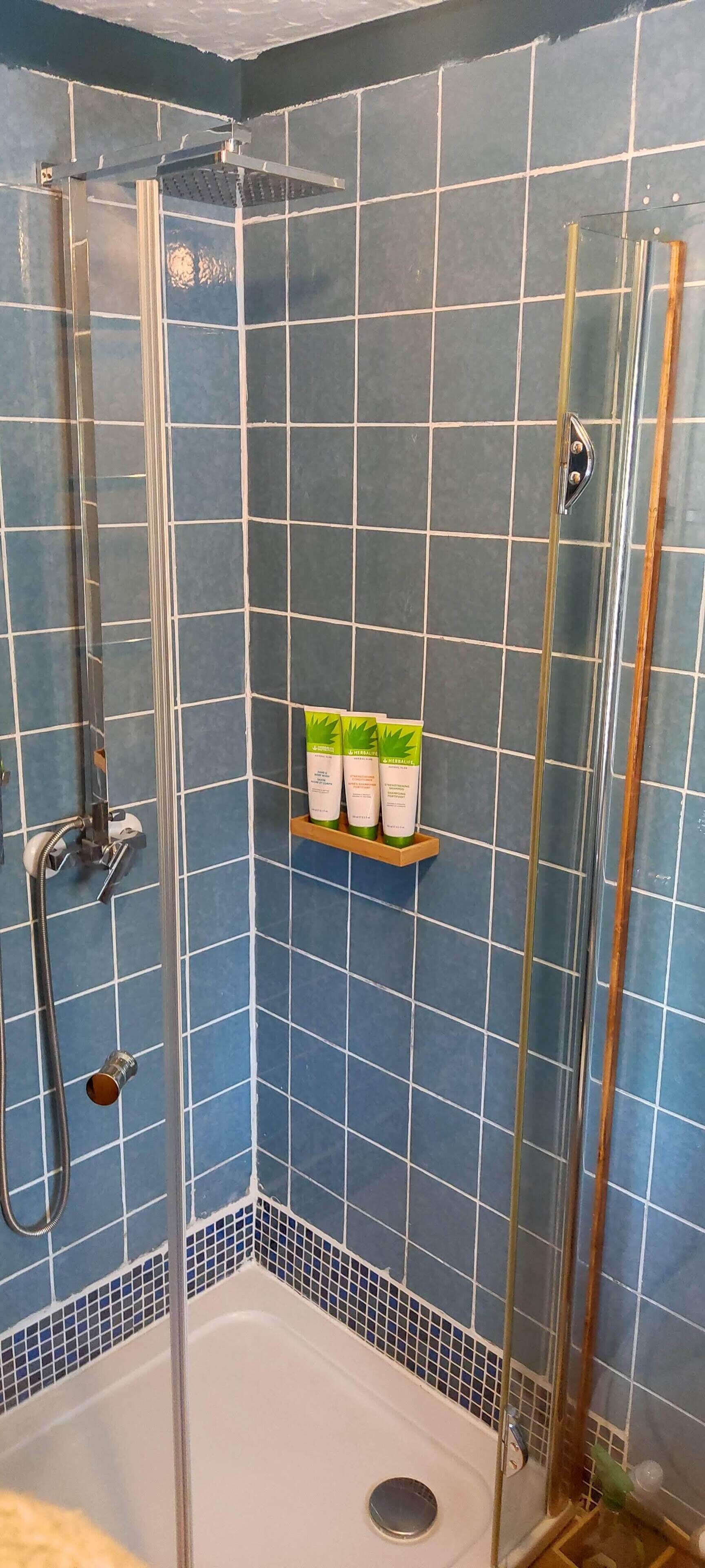 Shower, hair dryer, bathrobes, towels