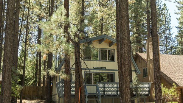 A lodge surrounded by tall pine trees, with a visible staircase leading to the entrance.