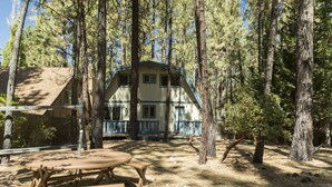 A cabin with a wooden deck, surrounded by tall pine trees. - Bristlecone Lodge by Destination Big Bear : Beautiful Treed Setting Next to Snow Summit! Fenced Yard! (Big Bear Lake)