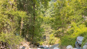 Paisaje natural con un arroyo serpenteante, rodeado de rocas y abundante vegetación.