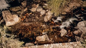 Un sendero de piedra que conduce a un pequeño estanque rodeado de rocas y vegetación.